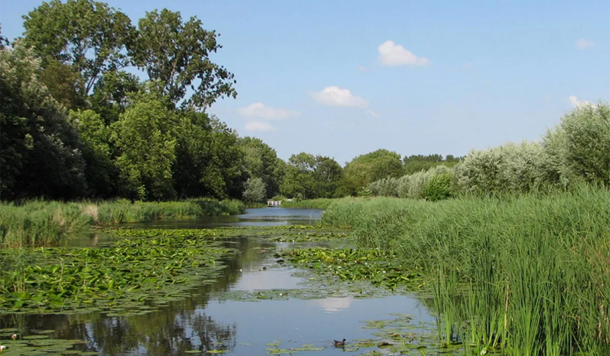 Aan het water bij Het Rieten Dak