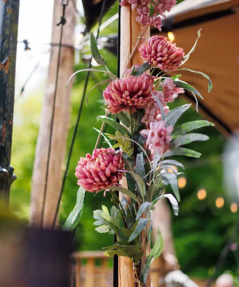 <span>Shared Dining</span>
