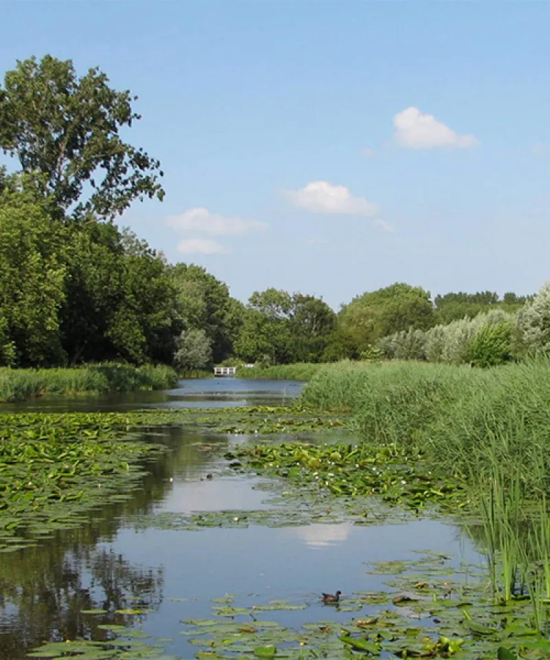 
<span>Walking Dinner</span>
