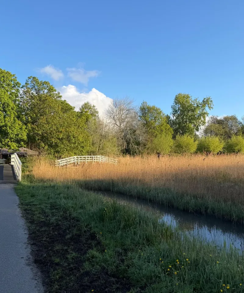 
<span>Shared Dining</span>
