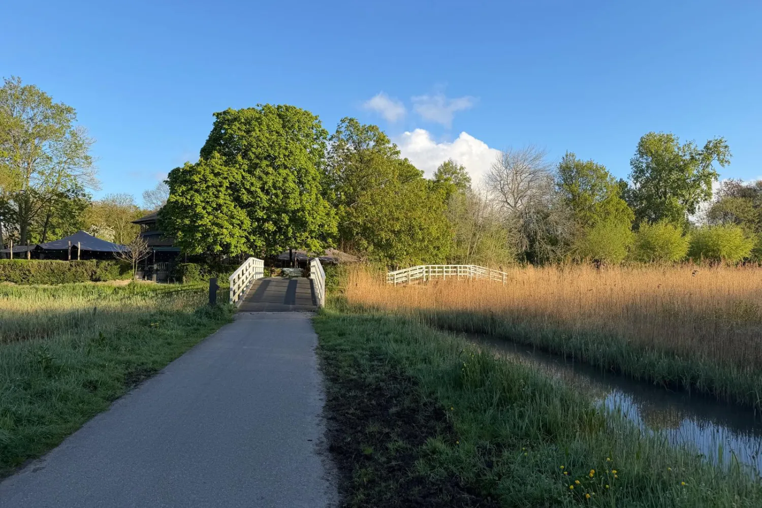 buiten
