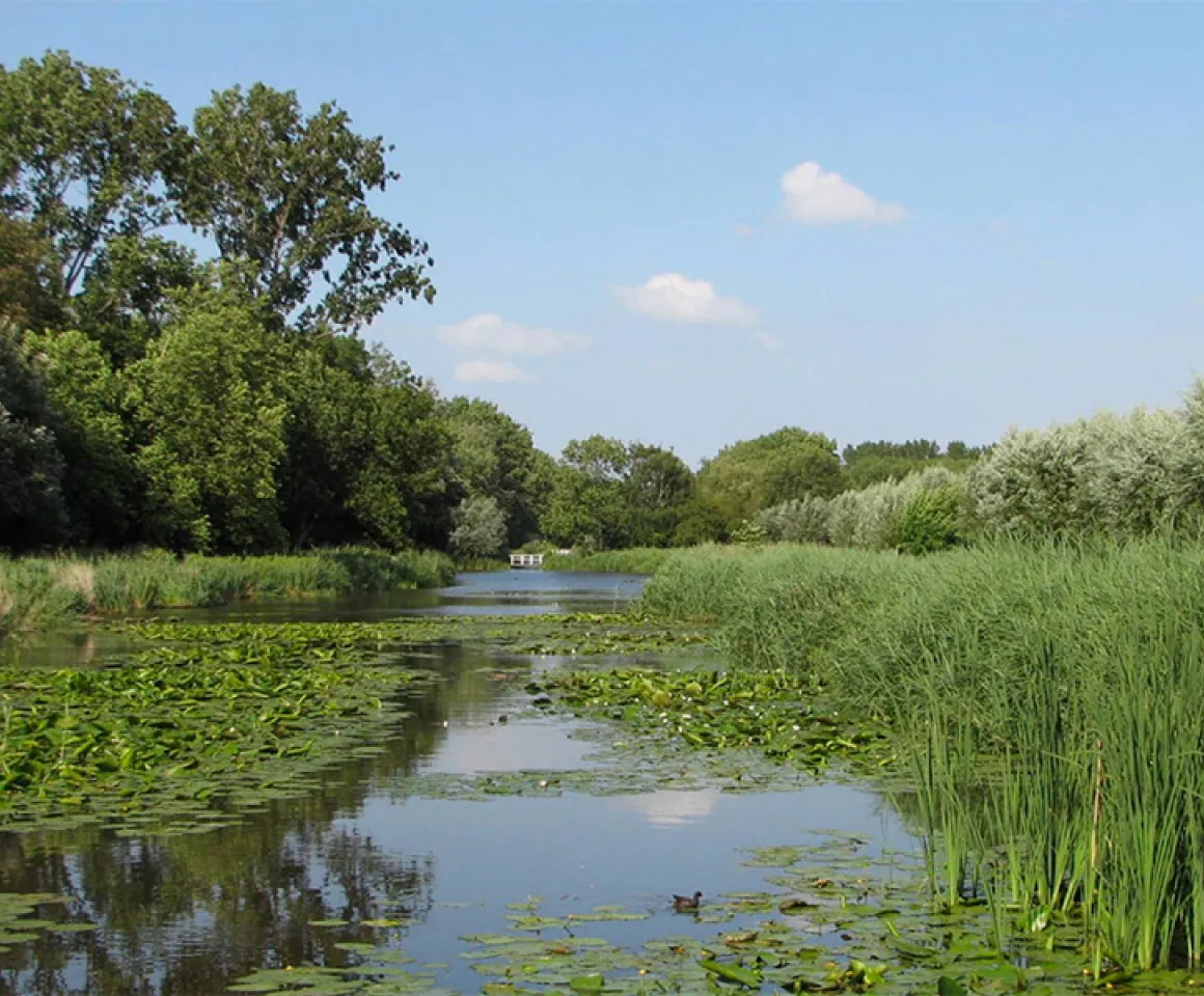 Aan het water bij Het Rieten Dak
