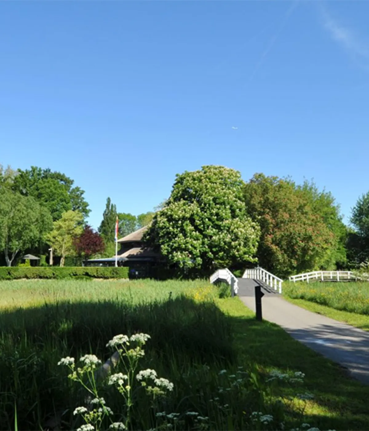 Buiten bij Het Rieten Dak