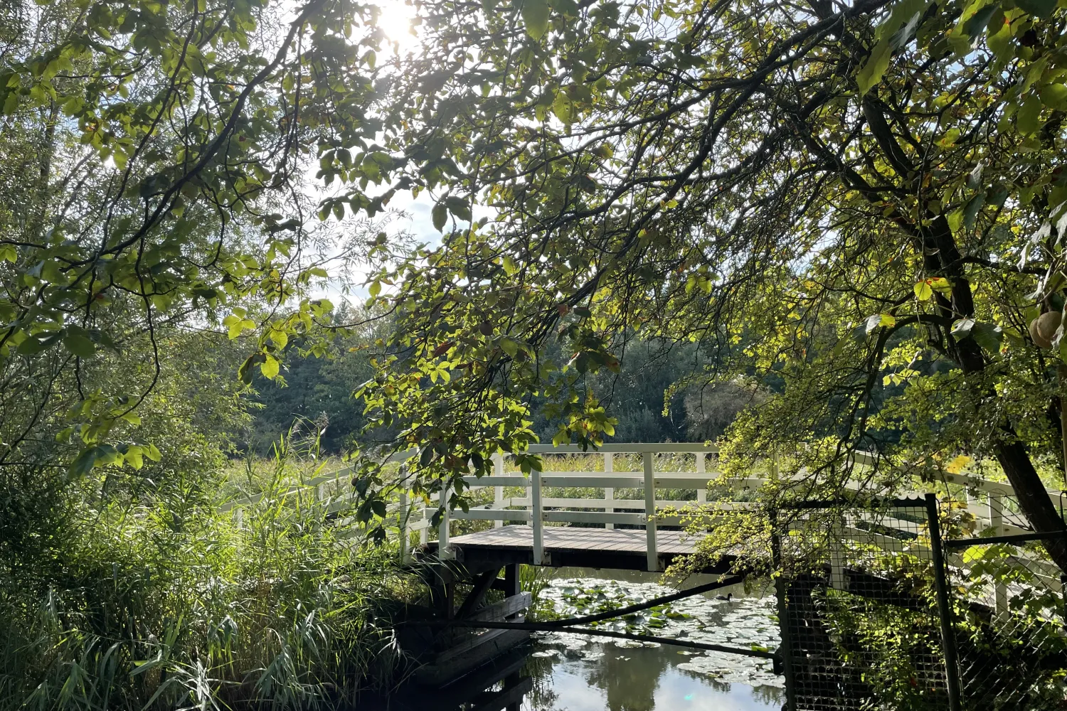 brug