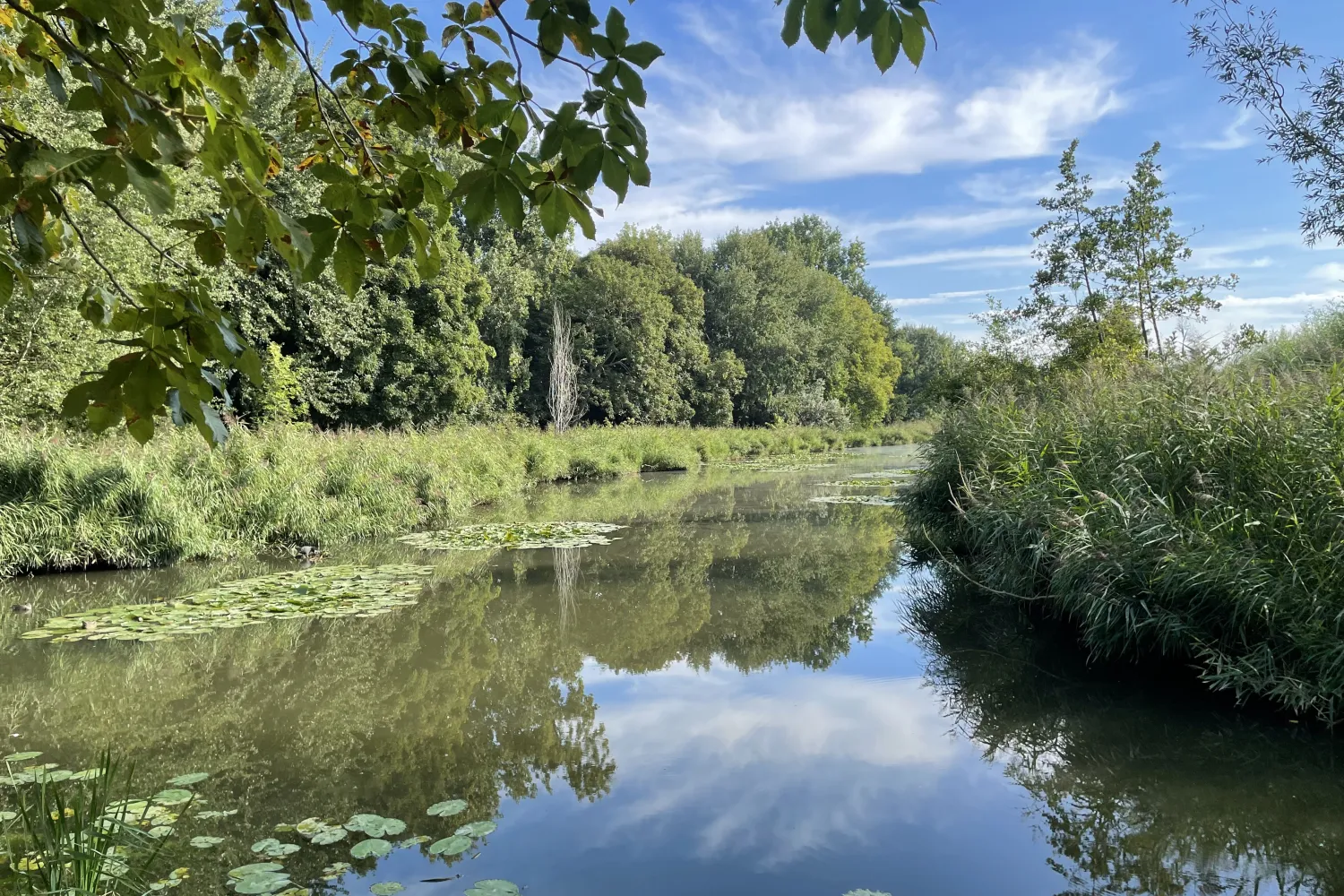 uitzicht