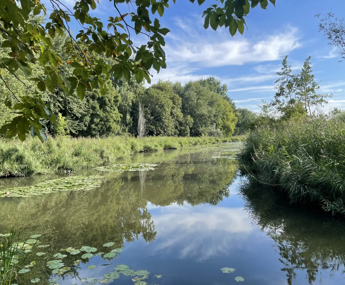 uitzicht